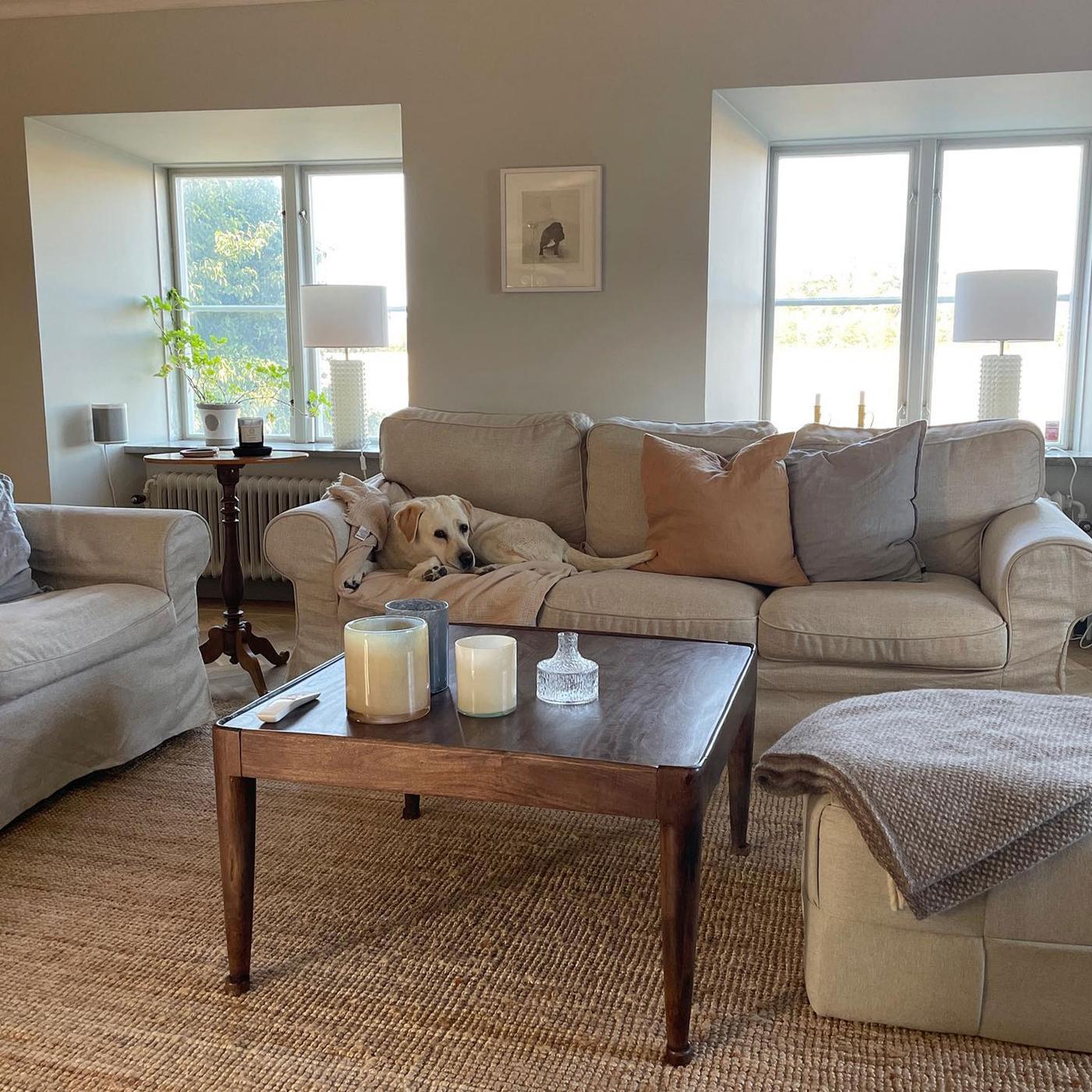 Ett ljust vardagsrum med stora fönster. Rummet är möblerat med två soffor, en 3-sitssoffa och en tillhörande pall. Framför sofforna står ett soffbord i massivt trä och i en soffa ligger en hund och vilar.