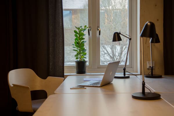 Ett modernt vardagsrum med ljusa träväggar och minimalistisk inredning. En svart rund fåtölj med blå kuddar och en vit filt står i förgrunden. En trästege leder upp till ett loft, och vägghyllor med dekorationer syns intill. I bakgrunden finns en grå soffa med mönstrade kuddar och två små bord. Golvet har en randig matta och rummet är upplyst av taklampor.