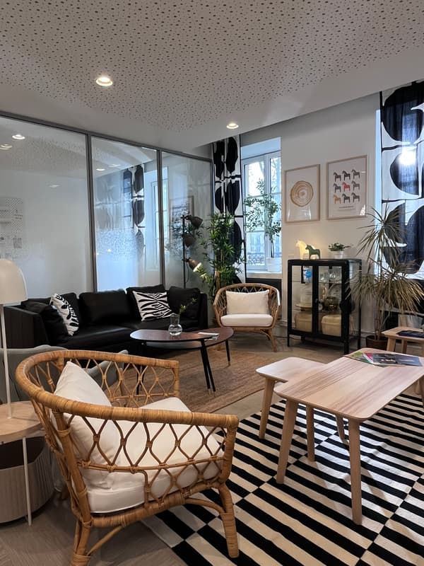 Fauteuil, tapis, table basse et canapés.