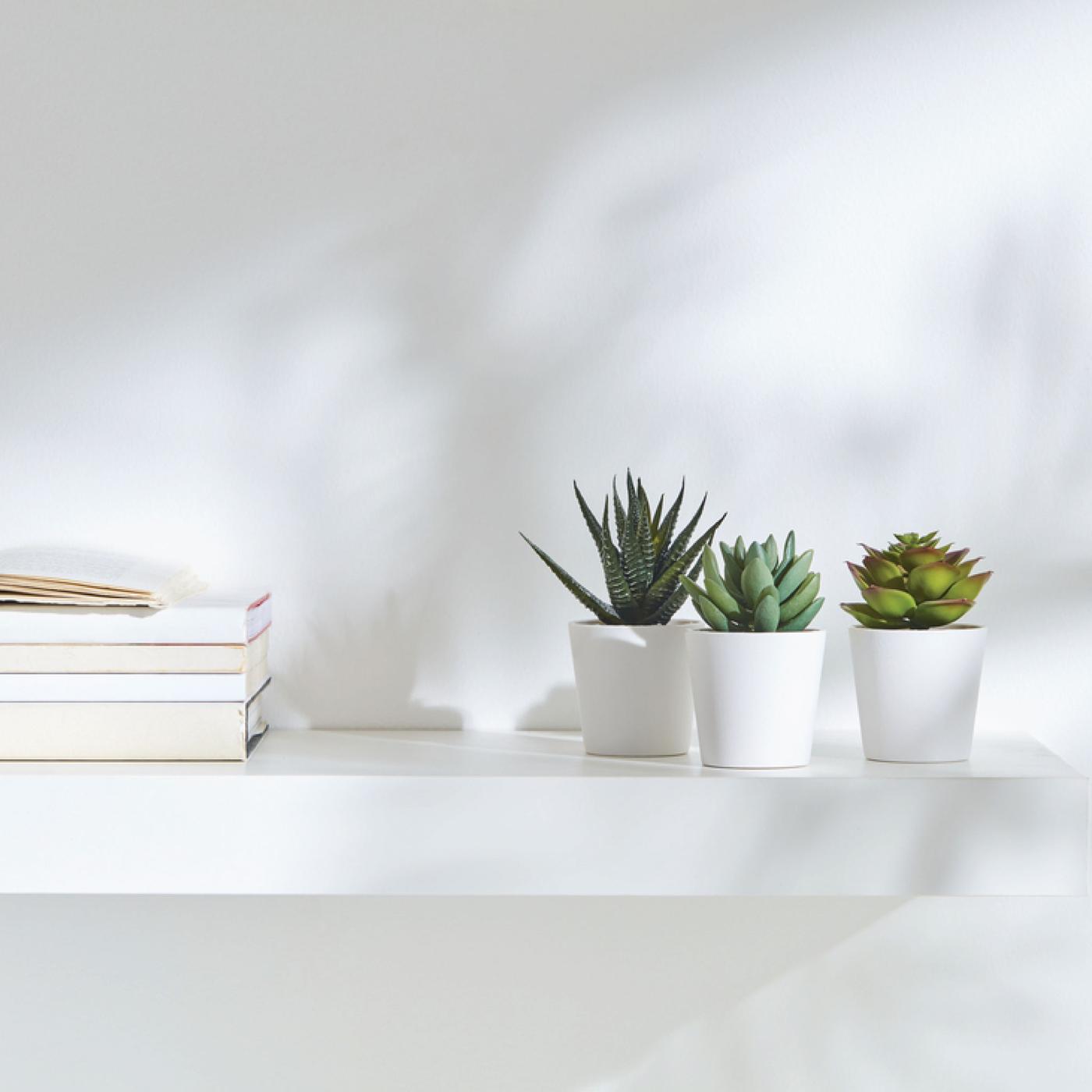 FEJKA เฟคก้า (20519765) ไม้ประดิษฐ์