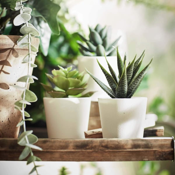 FEJKA artificial plants