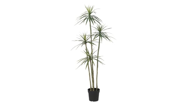 FEJKA plante artific 23 int/ext Dracaena