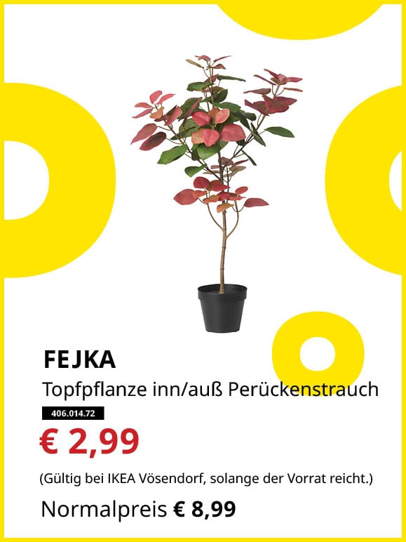 FEJKA Topfplanze innen/außen Perückenstrauch statt € 8,99 zum Knut Preis von € 2,99