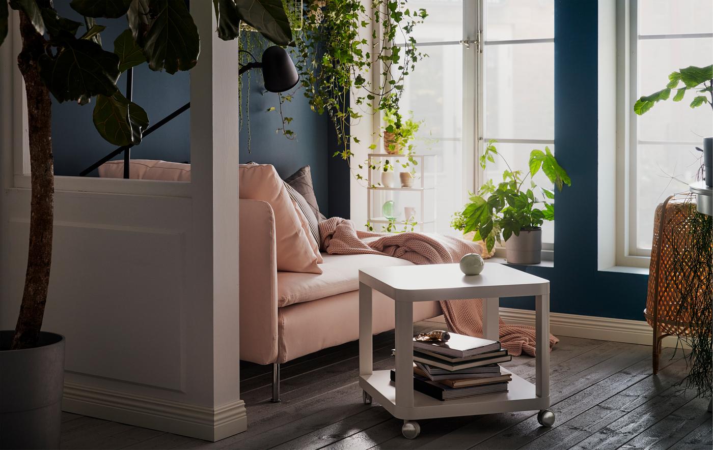 Fekvőfotel, magas, napsütötte ablakok mellett. Díszpárna, takaró és olvasólámpa. Növények a párkányon és a falipolcokon.