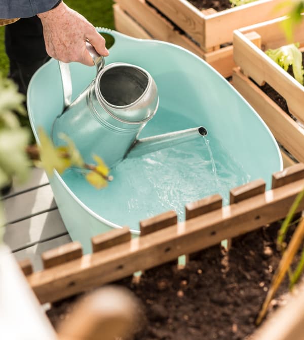 Femme en train de remplir un arrosoir avec l’eau de pluie de la bassine en plastique.