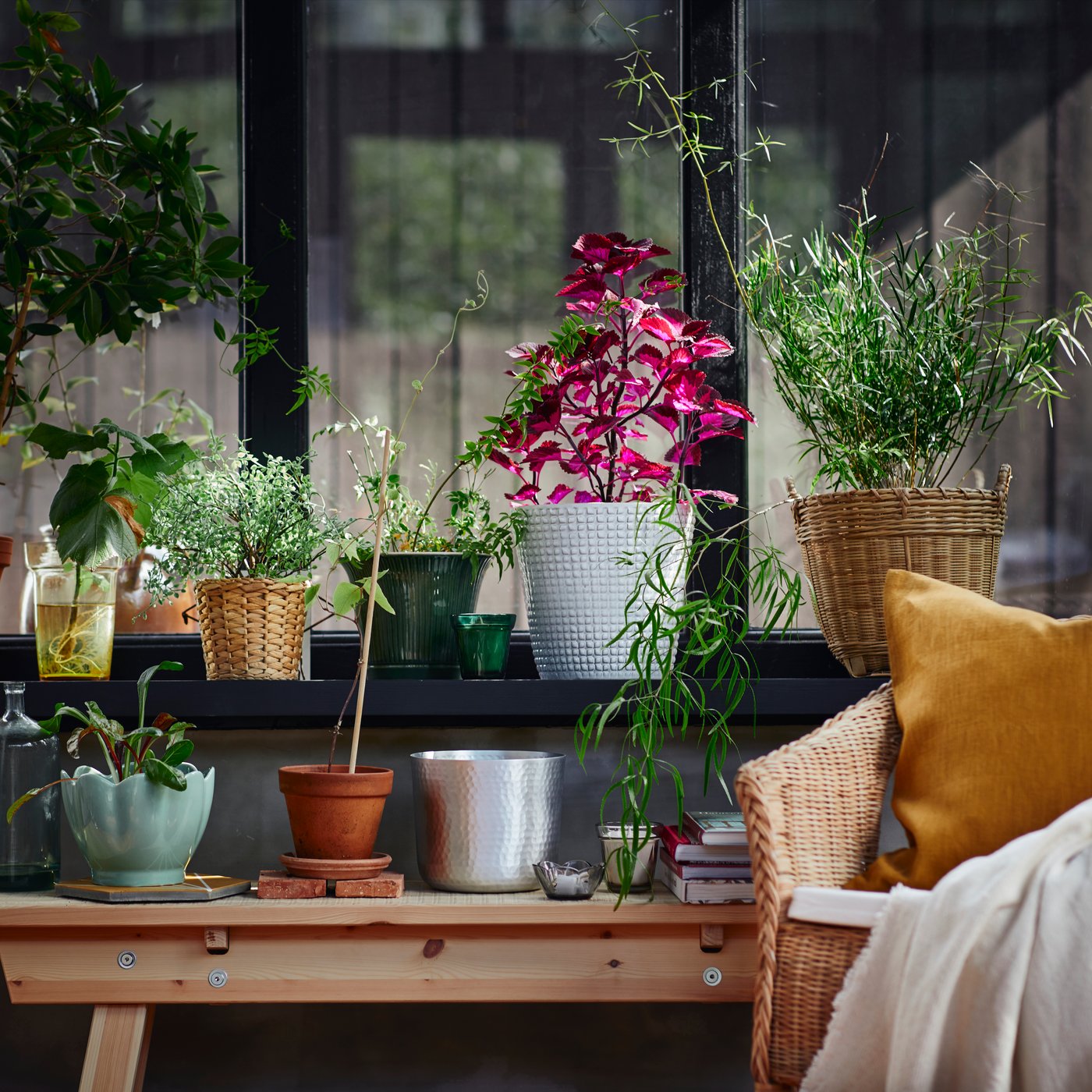 Botiga De Decoracio A Laire Lliure