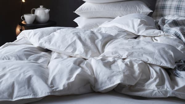 FJÄLLARNIKA duvet, light warm, in full/queen size.