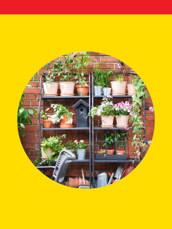 Flat 15% off on outdoor storage