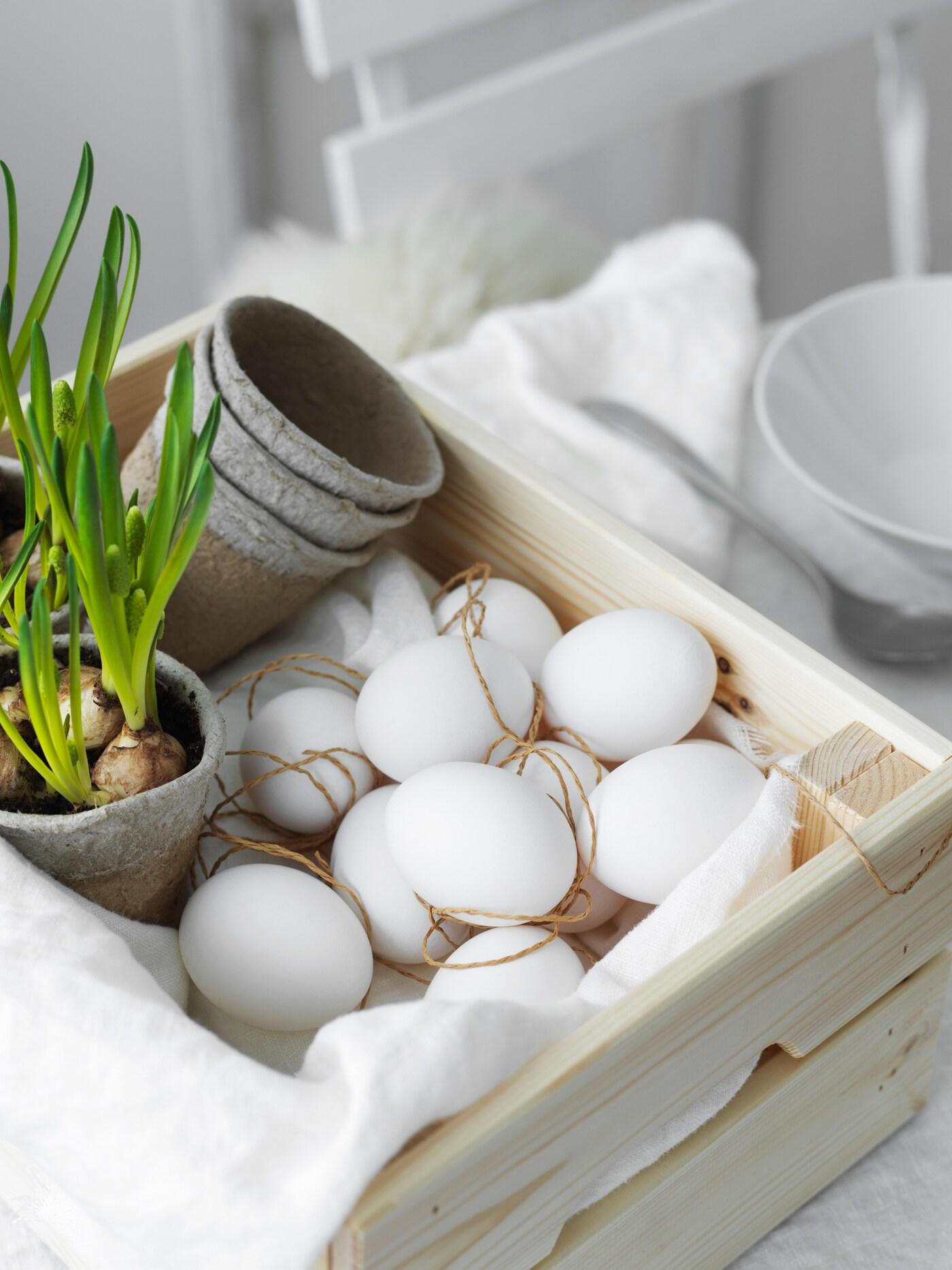 Flera ägg ligger i en trälåda.