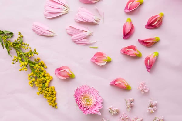 Fleurs qui ne fanent jamais