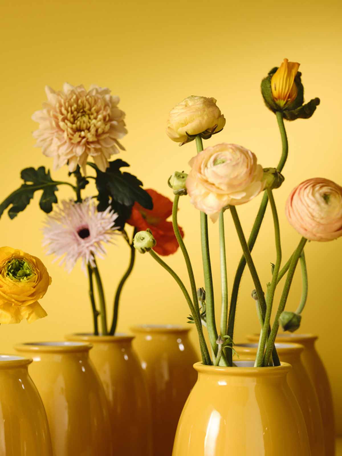 Flowers are arranged and placed in a row of yellow vases.
