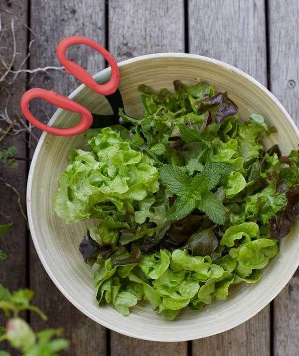 Foglie di insalata e menta in una ciotola in legno con forbici di colore rosso - IKEA
