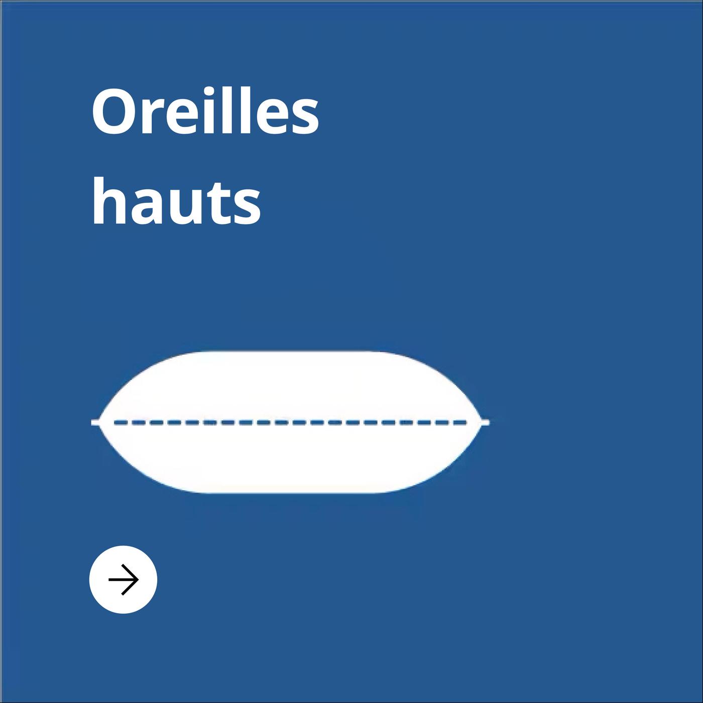 Fond bleu avec un oreiller à haut coussin et le texte "oreilles hauts"