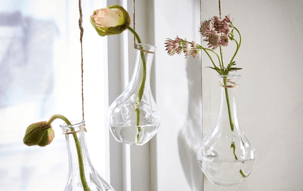 For a colourful still life, fill a white display box with fresh flower buds and enjoy watching the colours change as they dry. IKEA has the display box you are looking for, like KASSEBY.