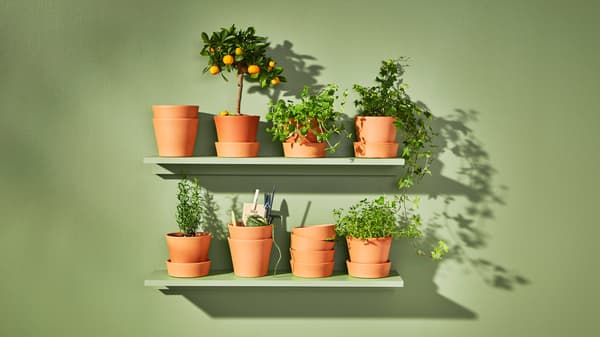 For a nature-inspired update: refresh your home with our range of pots and plants, available in a wide variety of colours, materials and textures.