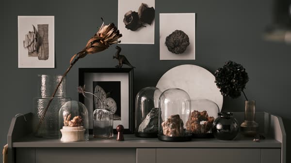 Forskellige sten udstillet i SKÖNJA glaskupler oven på et gråt HAUGA vitrineskab ved siden af en blomst i en glasvase.