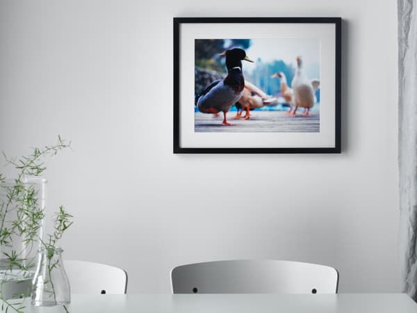 Fotolijst in 40x50 cm aan de muur