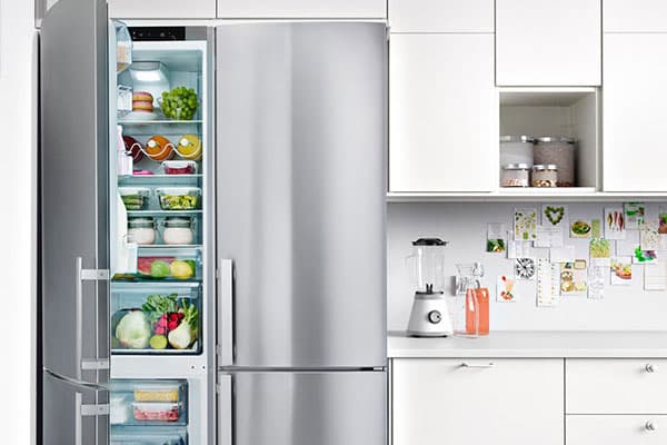 Free-standing stainless steel fridge/freezer