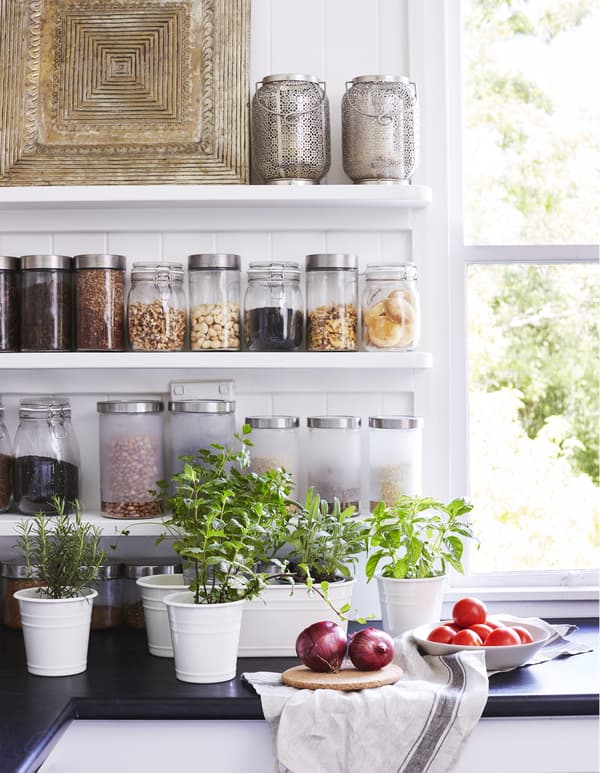 Fresh herbs in pots on the kitchen worktop.