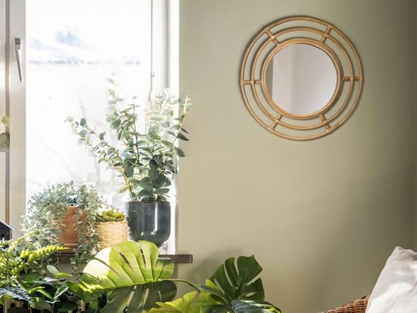 Gaiša telpa ar logu, vairākiem augiem podos un apaļu dekoratīvu spoguli pie sienas.