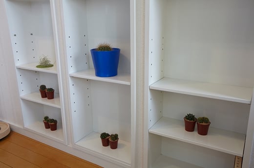 観葉植物が棚に並んでいる