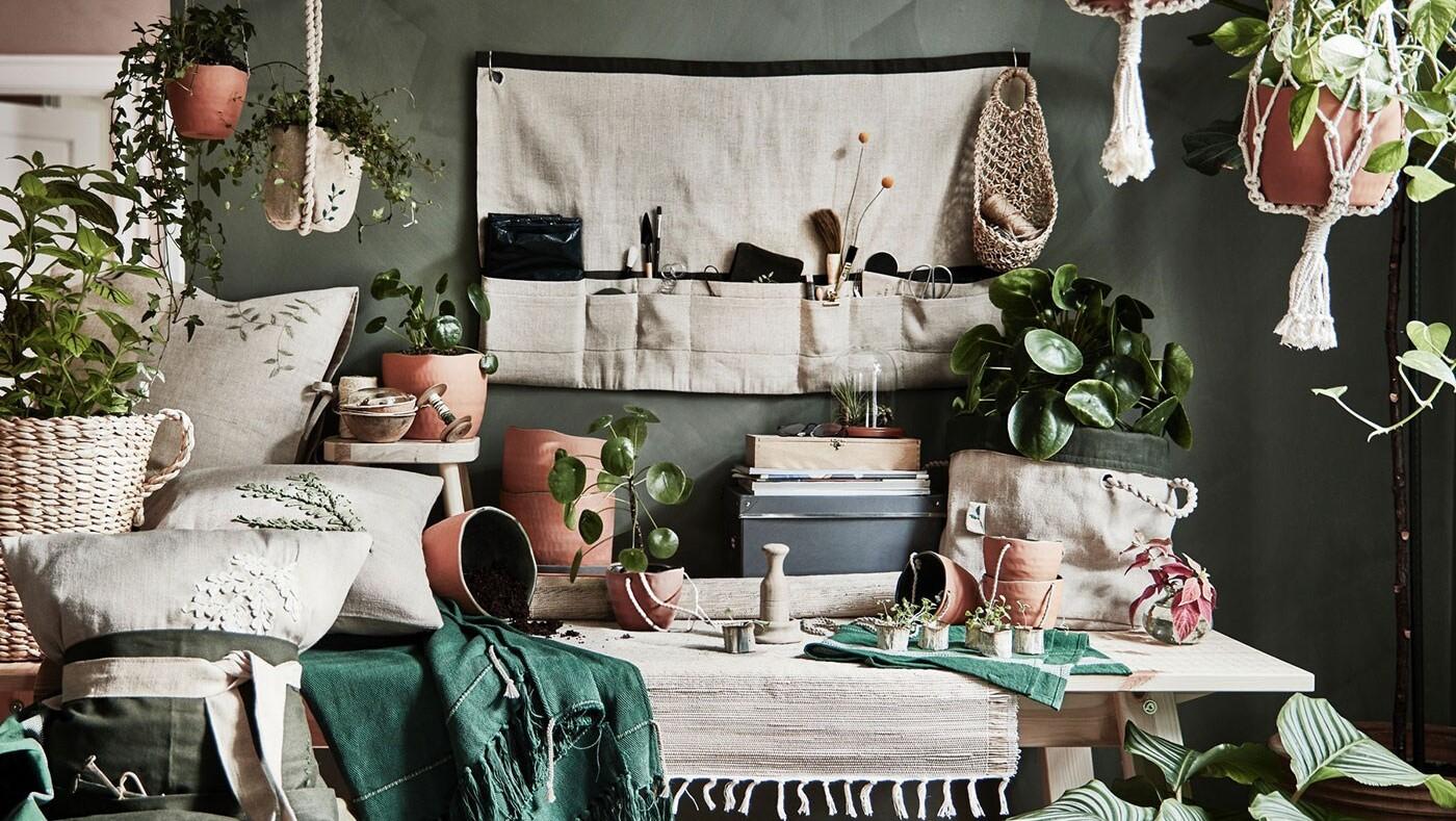 屋内ガーデニングを楽しめる限定コレクション「BOTANISK/ボータニスク」登場 希望の芽を育む ― 社会起業家らとのコラボレーション