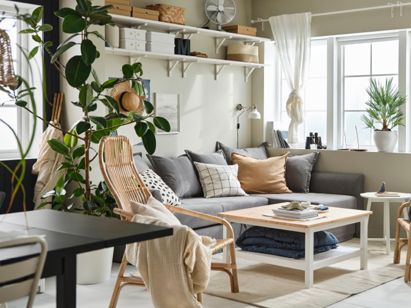 غرفة جلوس بدرجات ألوان فاتحة وساطعة بها نوافذ كبيرة، وكنبة - سرير زاوية HOLMSUND وطاولة قهوة HEMNES، ومنسوجات ونباتات كبيرة