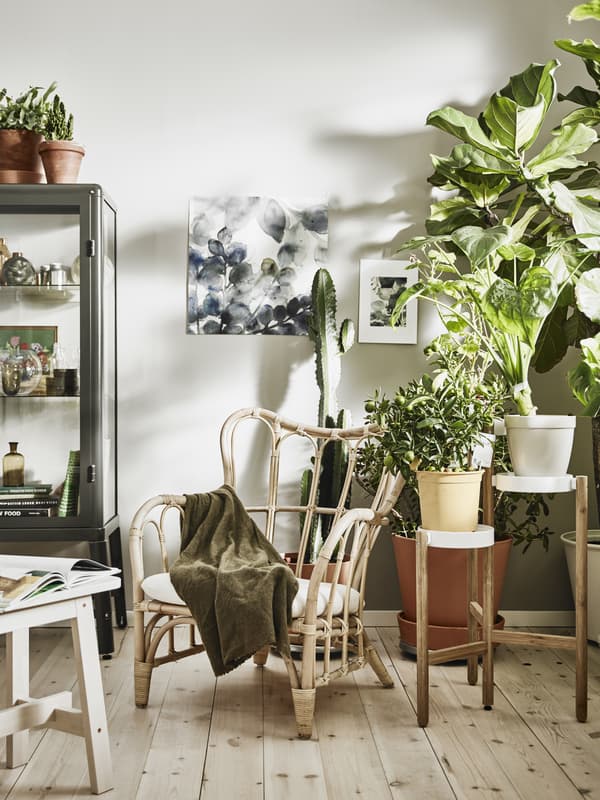 Gifts for plant lover