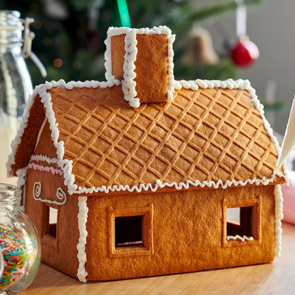 Gingerbread house with icing
