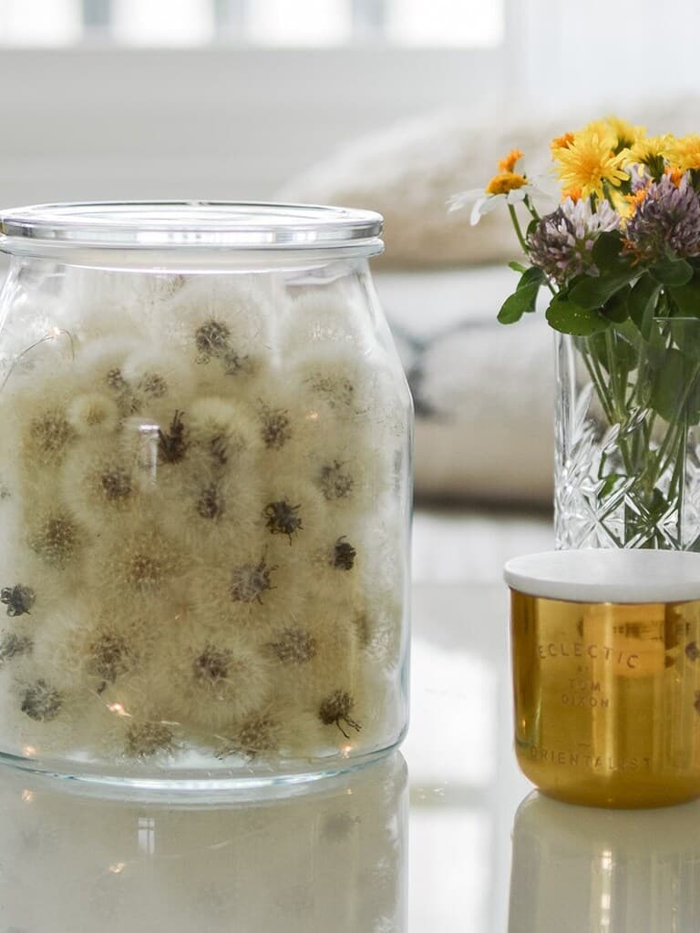 Glas jar filled with dandelion puffs.