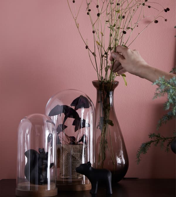 Glass domes and a vase display flowers and plants.