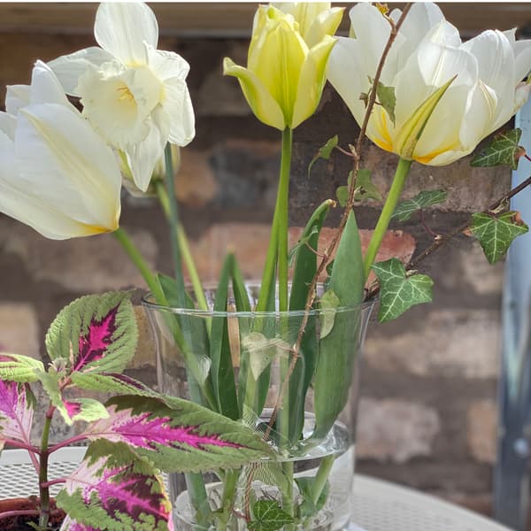 Glasvas med blommor från trädgården. 