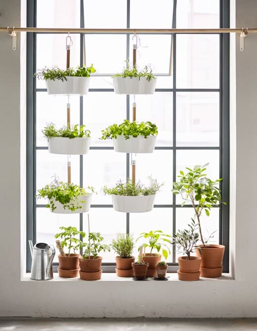 Got garden dreams but only a small apartment? Try extending your windowsill by hanging pots.