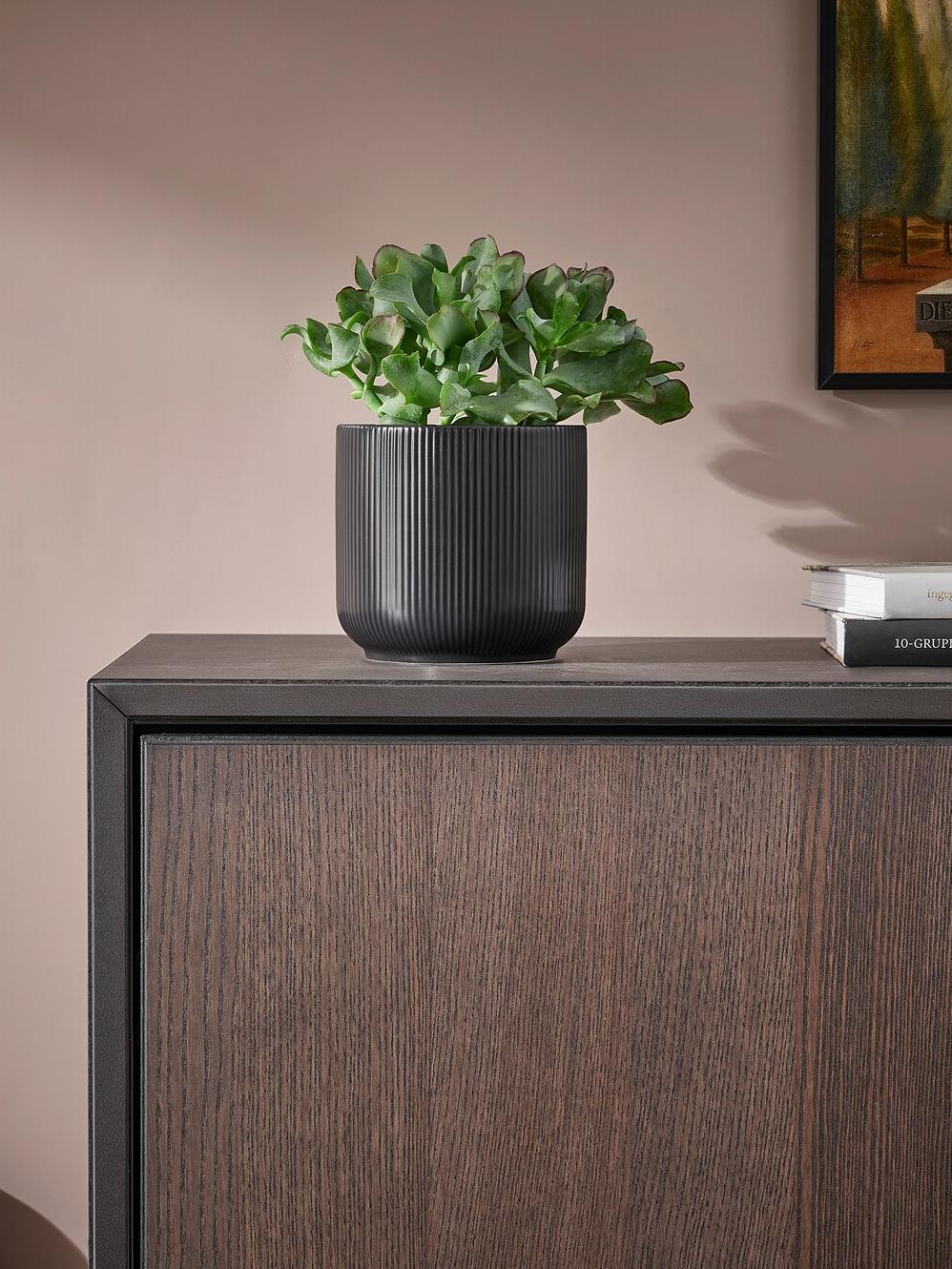 GRADVIS puesta en la sala