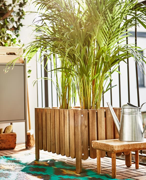 Grand bac posé sur le balcon, contenant deux grandes plantes.