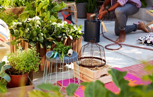 Grandes jardinières en bois remplies de végétaux, sur sol extérieur en béton, avec tapis, tabouret, outils de jardins.
