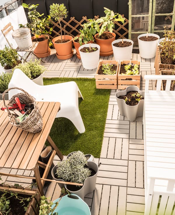 Grandes plantes en pot, jardinières et matériel de jardinage dans le coin jardin.