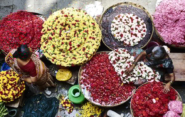 Grands paniers remplis de fleurs colorées.