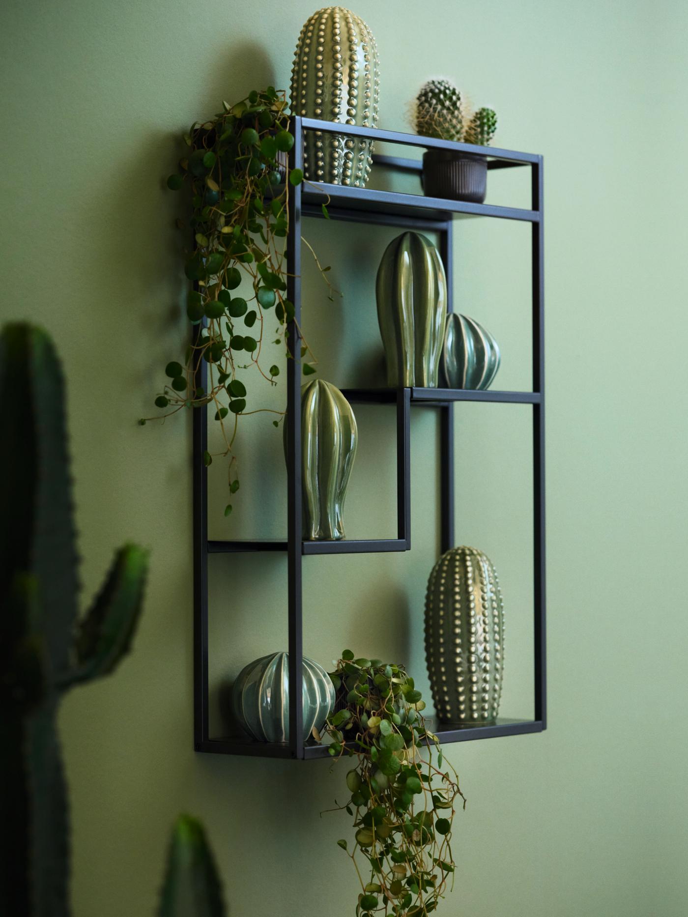 Green cactus decoration