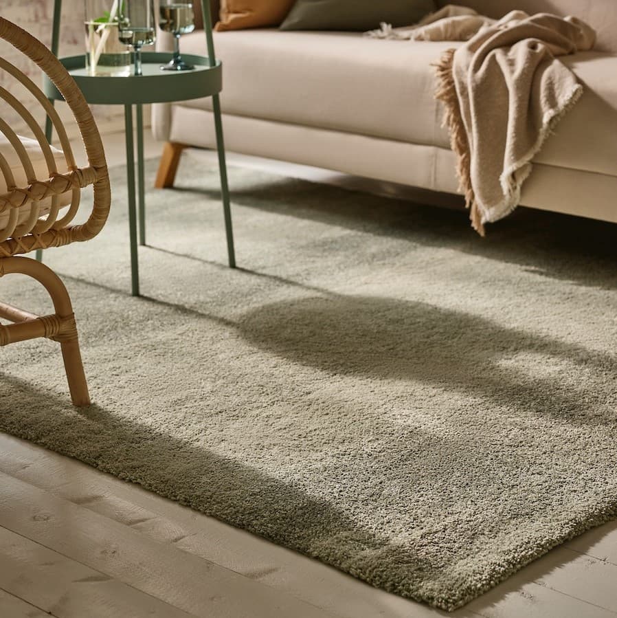 green-grey rug in a living room setup