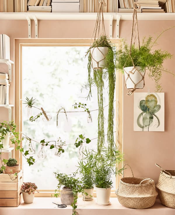 Green plants of various shapes and sizes liven up the window in this living room.