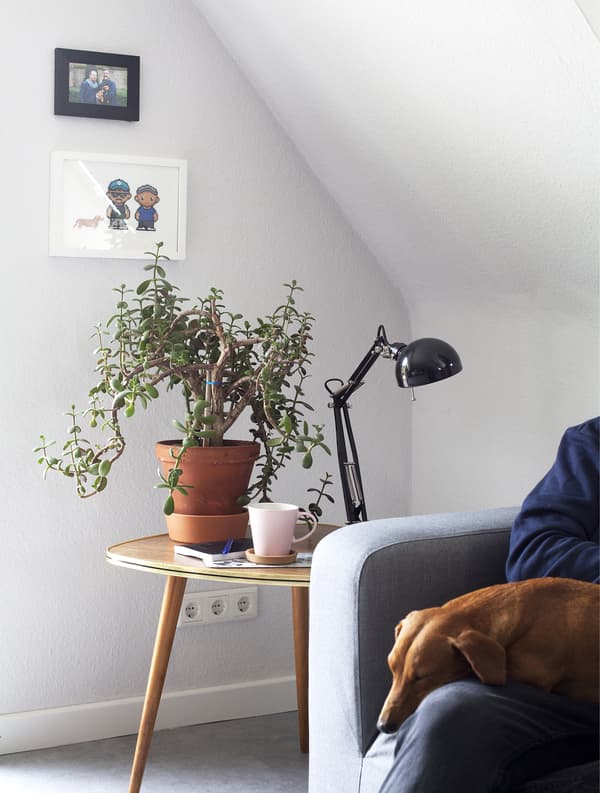 Gros plan d’une table d’appoint vintage, d’une lampe noire et d’une plante, avec chien endormi sur les genoux de quelqu’un dans un canapé gris.