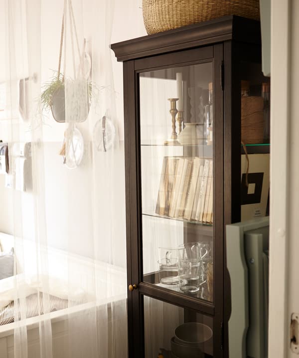 Gros plan d’une vitrine remplie de livres, de verres et d’autres objets.