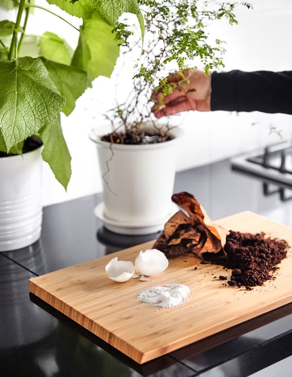 Ground egg shells and coffee grounds sit on a wooden chopping board in front of a potted plant.