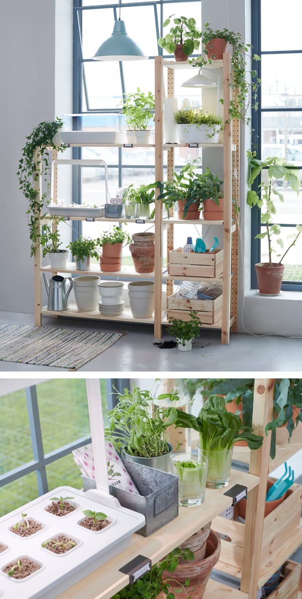 Grow plants indoors with water! All you need are water, seeds and a grow kit. Use a sprout box with lid until you can see the first shoots, like IKEA VÄXER grow kit with 8 pots and light fixture.