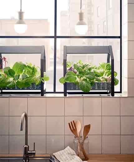 grow-your-own-food-at-home-with-the-krydda-vaexer-hydroponic-kit