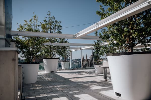 Grüne Oase auf der IKEA Dachterrasse – urbanes Gärtnern mit Ausblick über die Stadt.