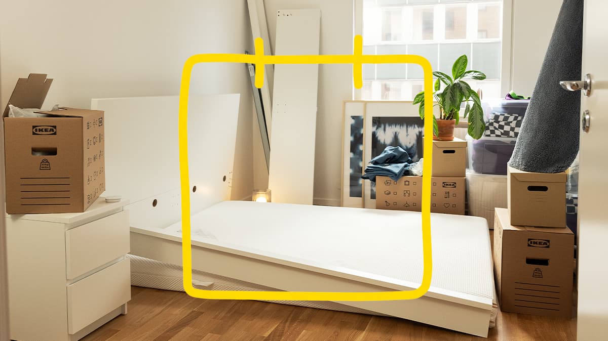 Contratar el servicio