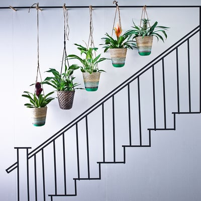 Ratgeber Indoor-Gärten: Tipps für Zimmergärten - IKEA Schweiz