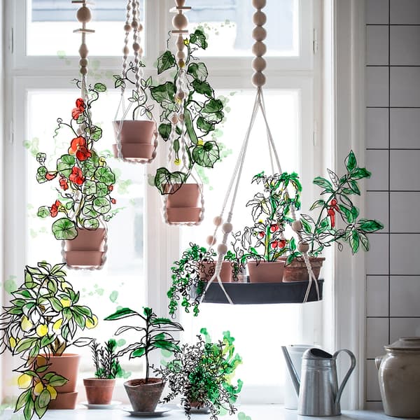 Hängender Zimmergarten